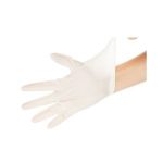 P-ZW Disposable Glove