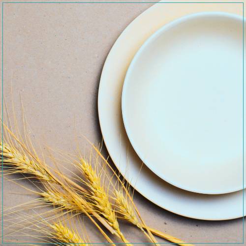planet zero waste products-wheat straw dishes